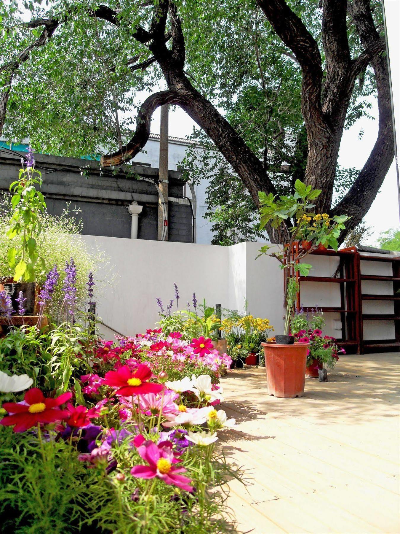 Beijing Wohkoon Hostel-Nan Luo Gu Xiang Branch Esterno foto